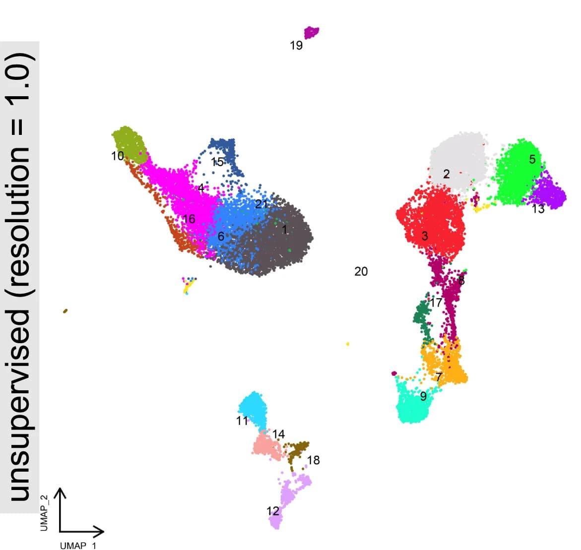 Open access visualization of Scatter Plot, UMAP, HVF Subsets, CG, Cell Type