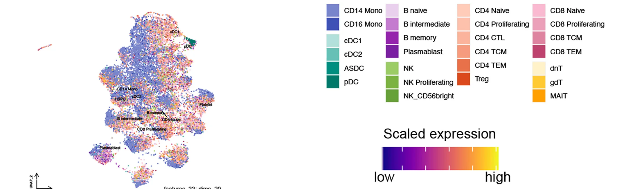 Open access visualization of UMAP, Scatter Plot, HERV Subfamily Features, PBMC Cell Types, Cell Identities
