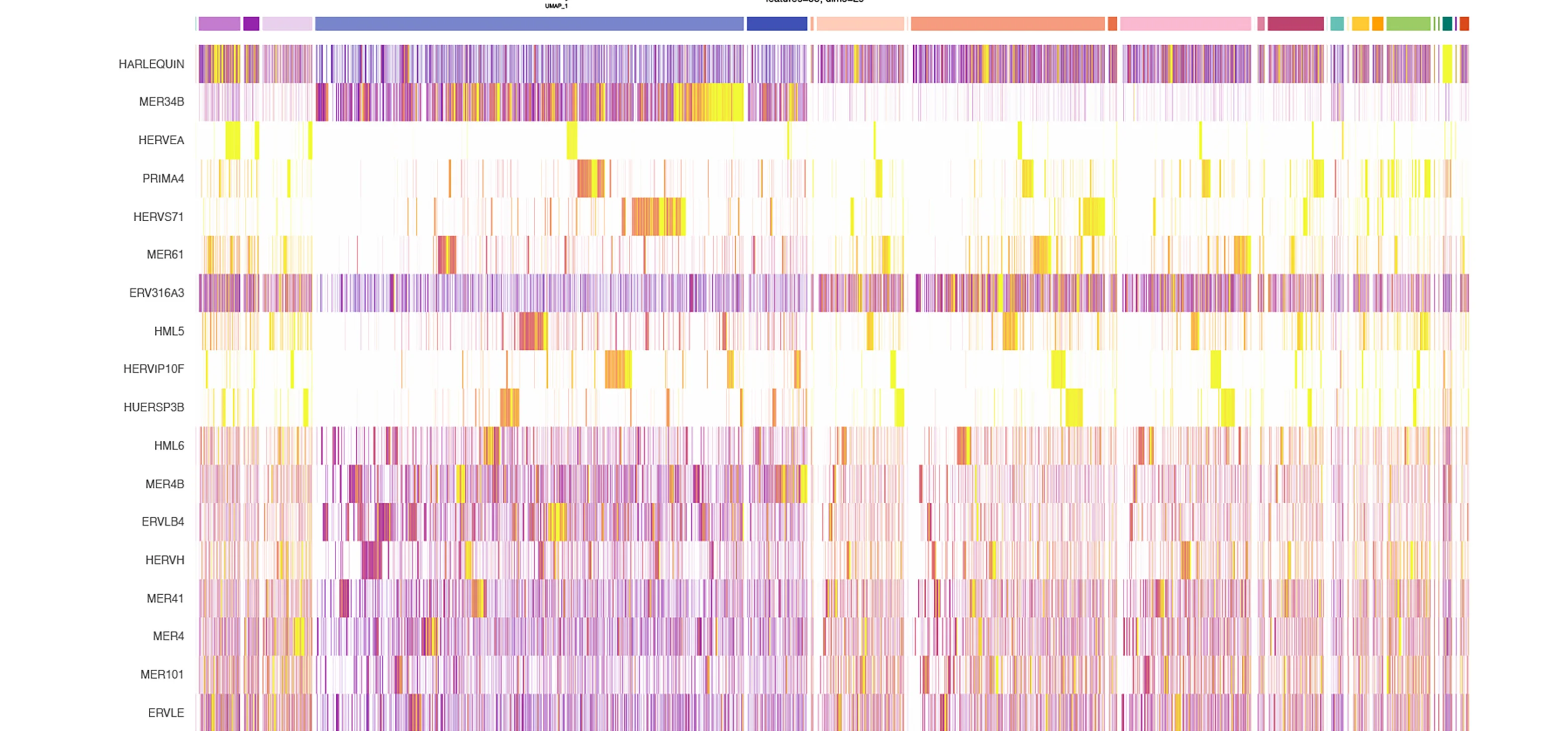 Open access visualization of Heatmap, HERV Subfamily Features, Cell Expression, Differential Expression, Hierarchical Clustering