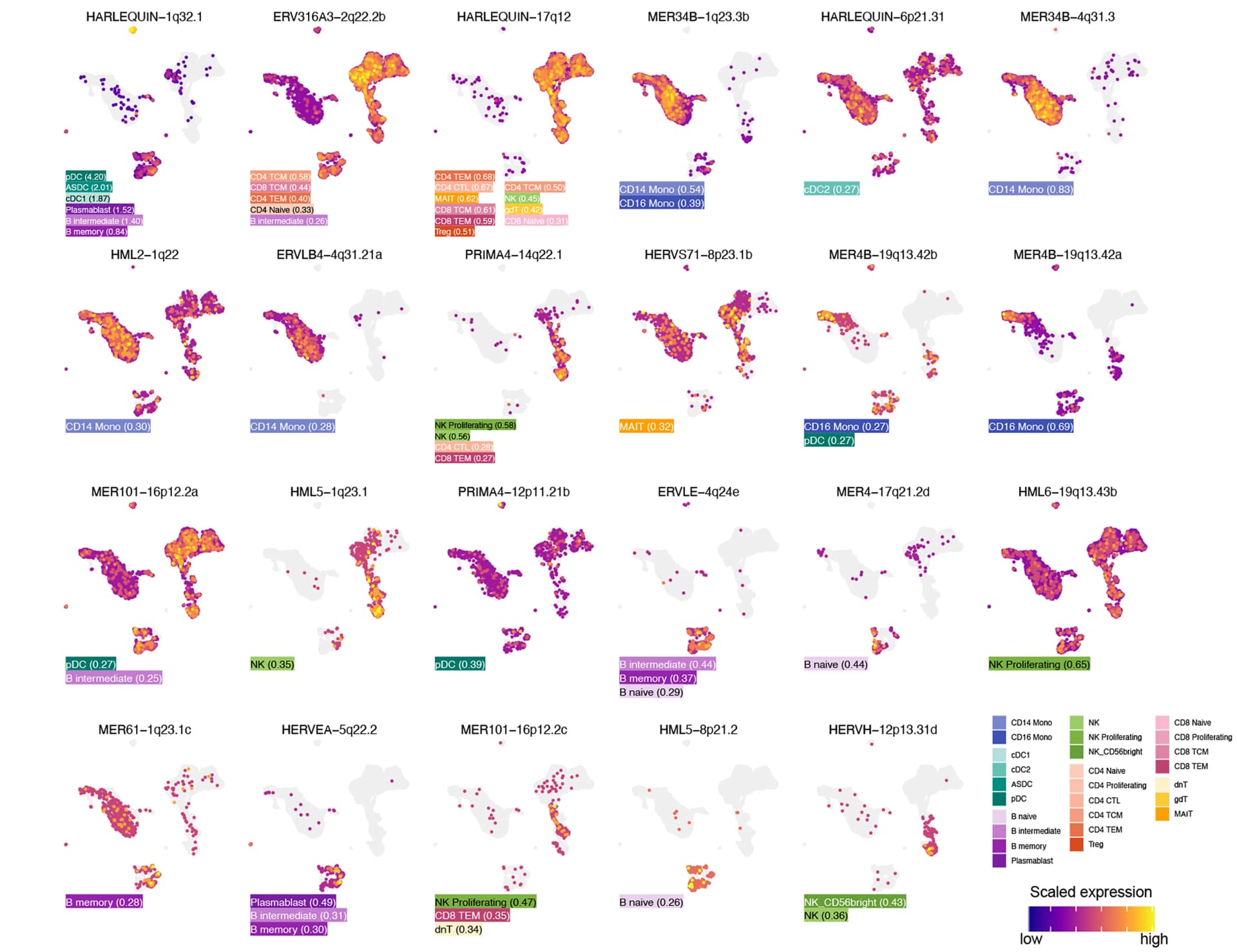 Open access visualization of UMAP, Scatter Plot, Feature Plots, Relative Expression, HERV Features