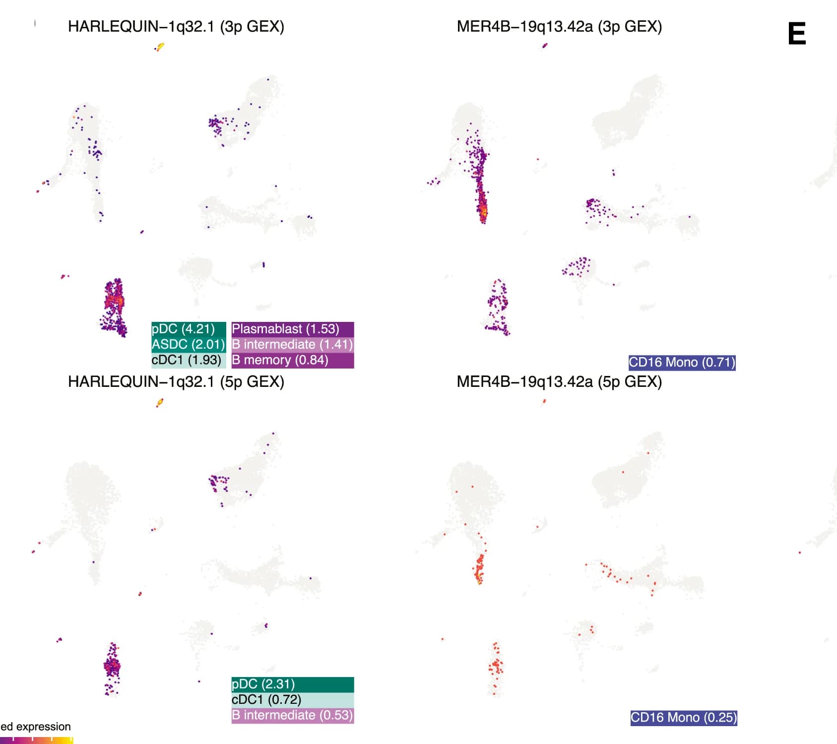 Open access visualization of Scatter Plot, UMAP, Feature Plots, HERV Features, Differential Expression