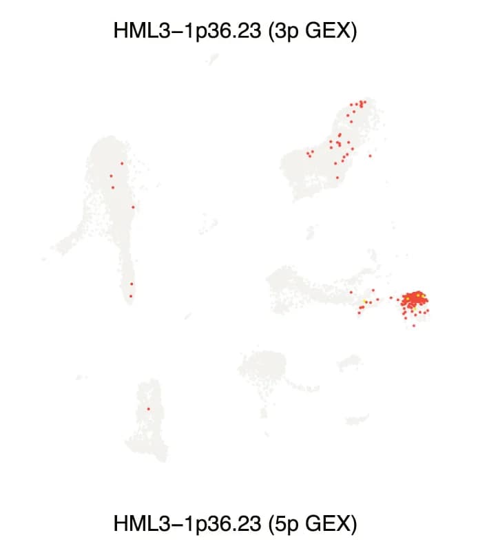 Open access visualization of Scatter Plot, UMAP, Feature Plots, HERV Features, Differential Expression