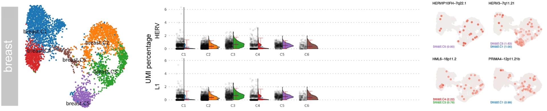 Open access visualization of Scatter Plot, Violin Plot, Error Bars, Geo Map, Breast