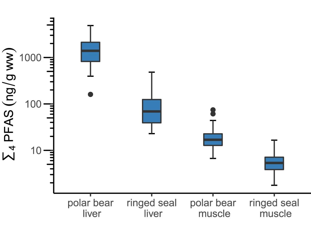 Open access visualization of Box Plot, Boxplot, Liver Tissue, Muscle Tissue, 4PFAS