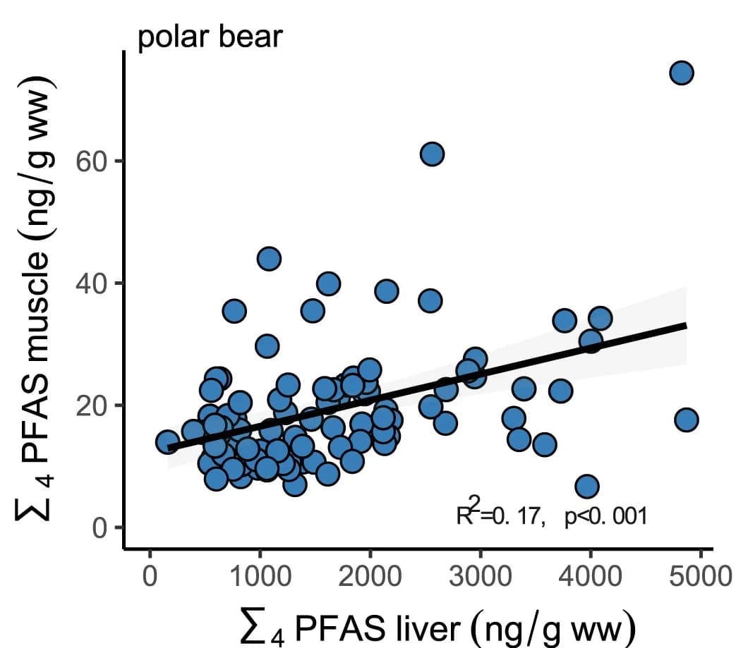 Open access visualization of Scatter Plot, Regression Plot, Correlation, Liver Tissue, Muscle Tissue