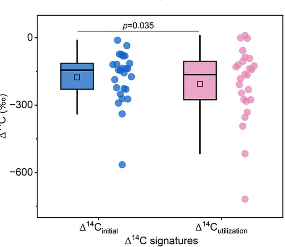 Open access visualization of Box Plot, Scatter Plot, Δ14C Signatures, DOC, Microorganisms