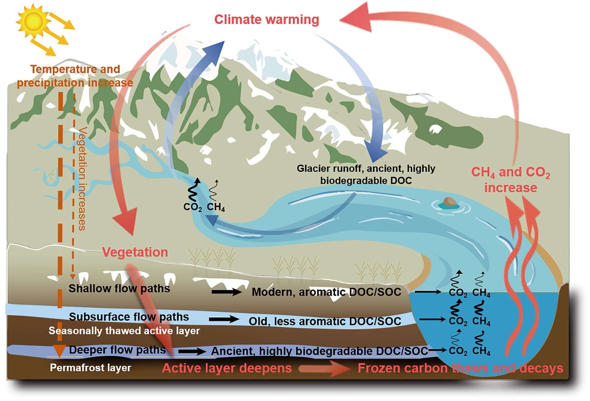 Open access visualization of Workflow, Illustration, C Emissions, Decomposition, Active Layer