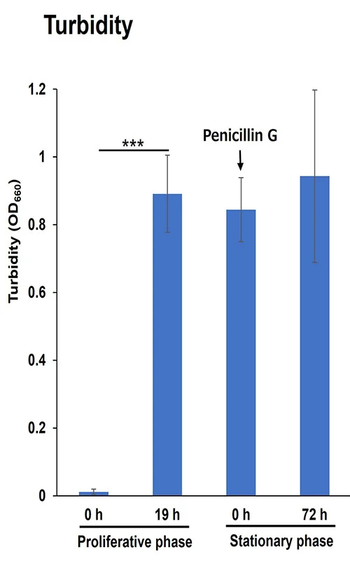 Open access visualization of Bar Plot, Error Bars, B. Subtilis, Penicillin G, Growth