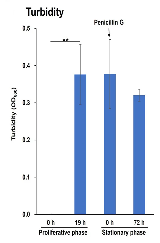 Open access visualization of Bar Plot, Error Bars, C. efficiens, Penicillin G, Growth