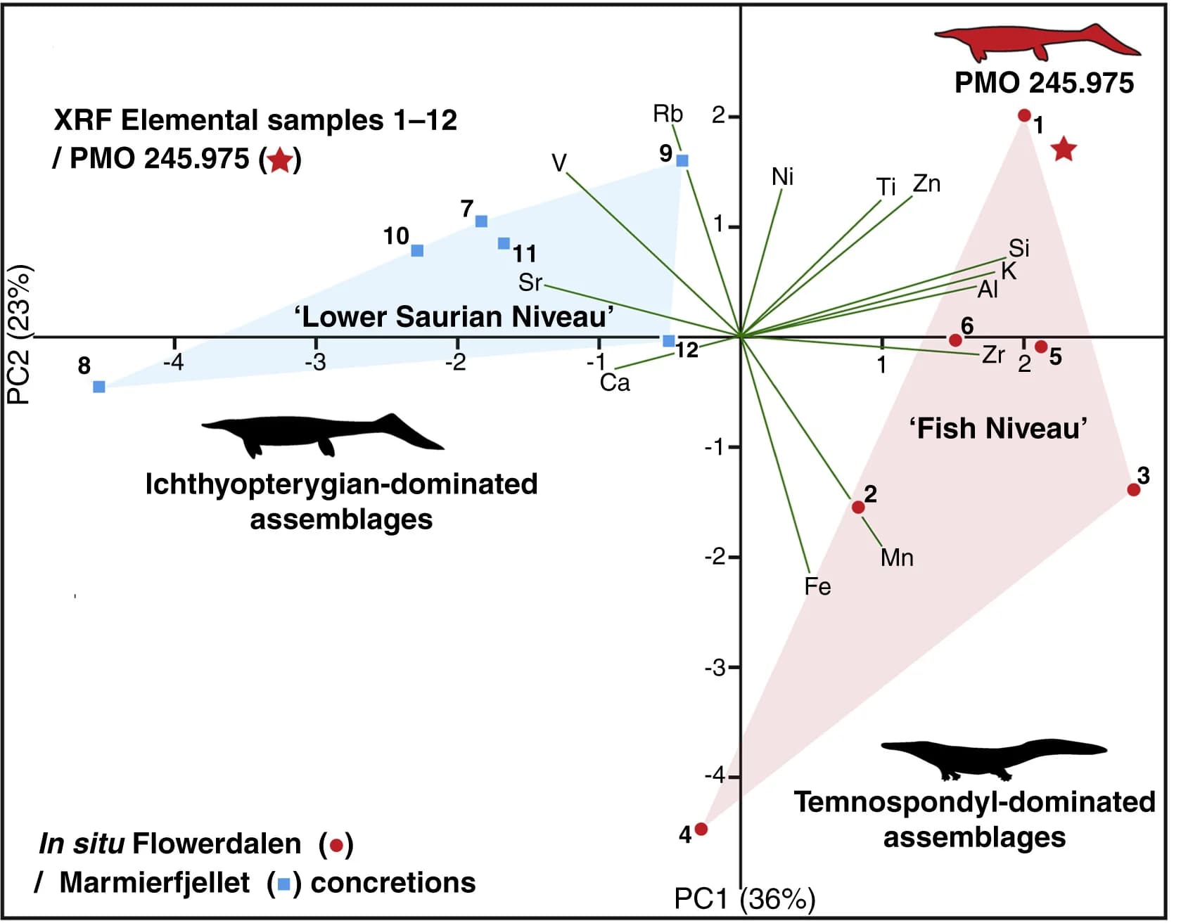 Open access visualization of Scatter Plot, PCA, XRF, Elemental Geochemistry, Calcitic Matrix