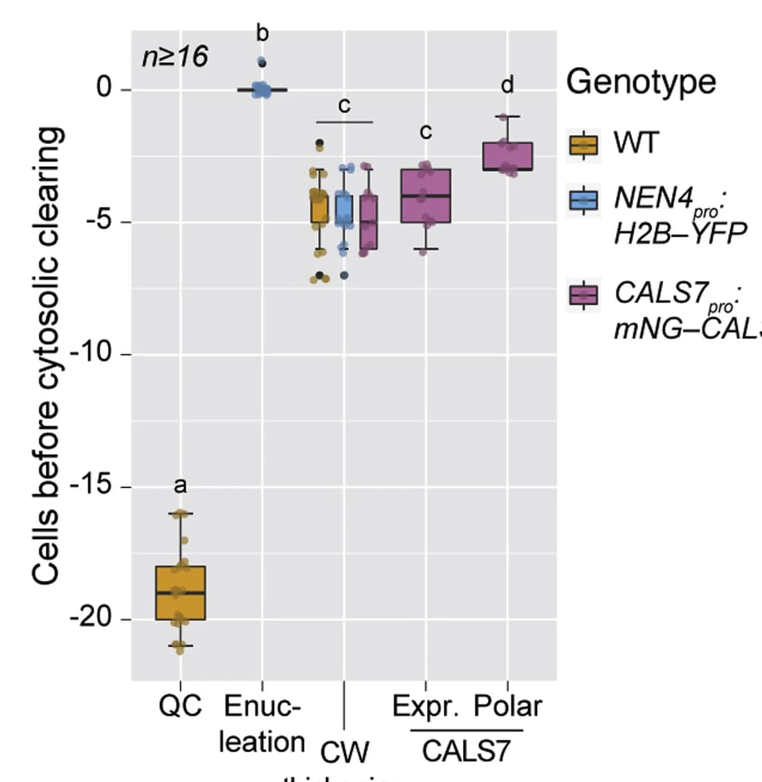 Open access visualization of Box Plot, Scatter Plot, SE differentiation, Cytoplasm, Roots