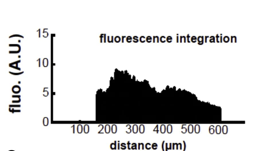 Open access visualization of Line Plot, Line Step, Motion Overlay, Swim Bout, Larva