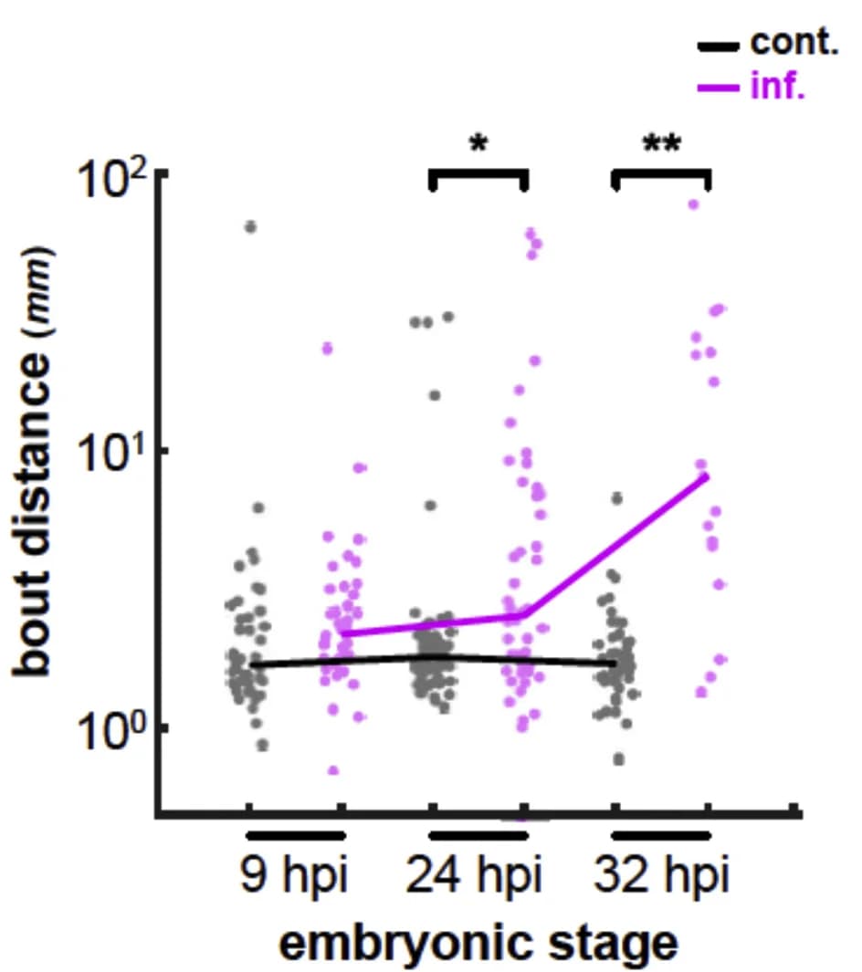 Open access visualization of Scatter Plot, Line Plot, Quantification, Bout Distance, Control Fish