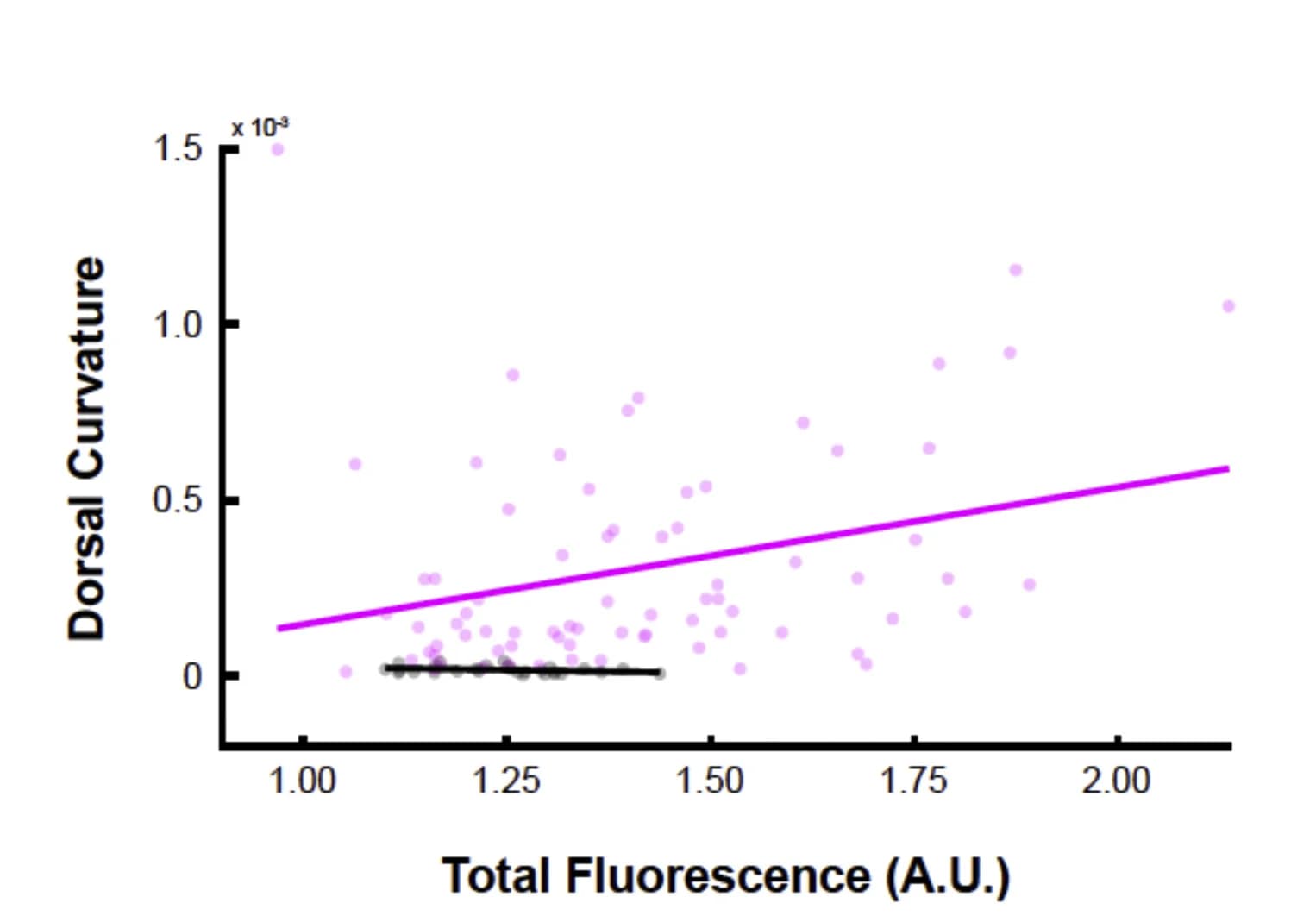 Open access visualization of Scatter Plot, Regression Plot, Fluorescence, Spinal Cord, Fish