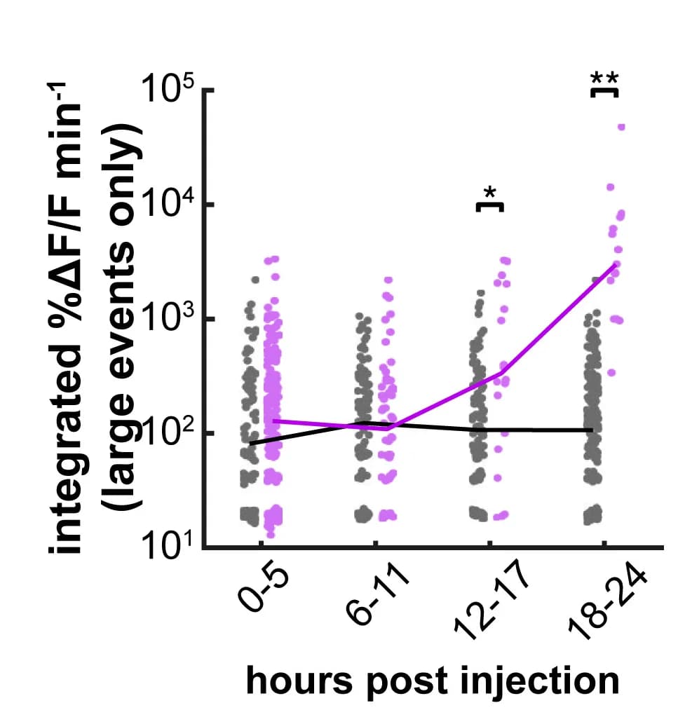 Open access visualization of Scatter Plot, Line Plot, Calcium Transients, Control Larvae, S. pneumoniae-Infected Larvae
