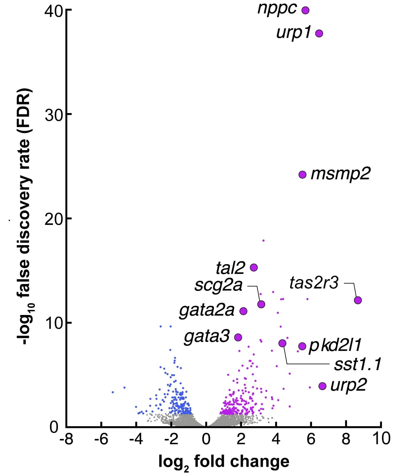 Open access visualization of Volcano Plot, Scatter Plot, RNA-seq, Transcripts, CSF-cNs
