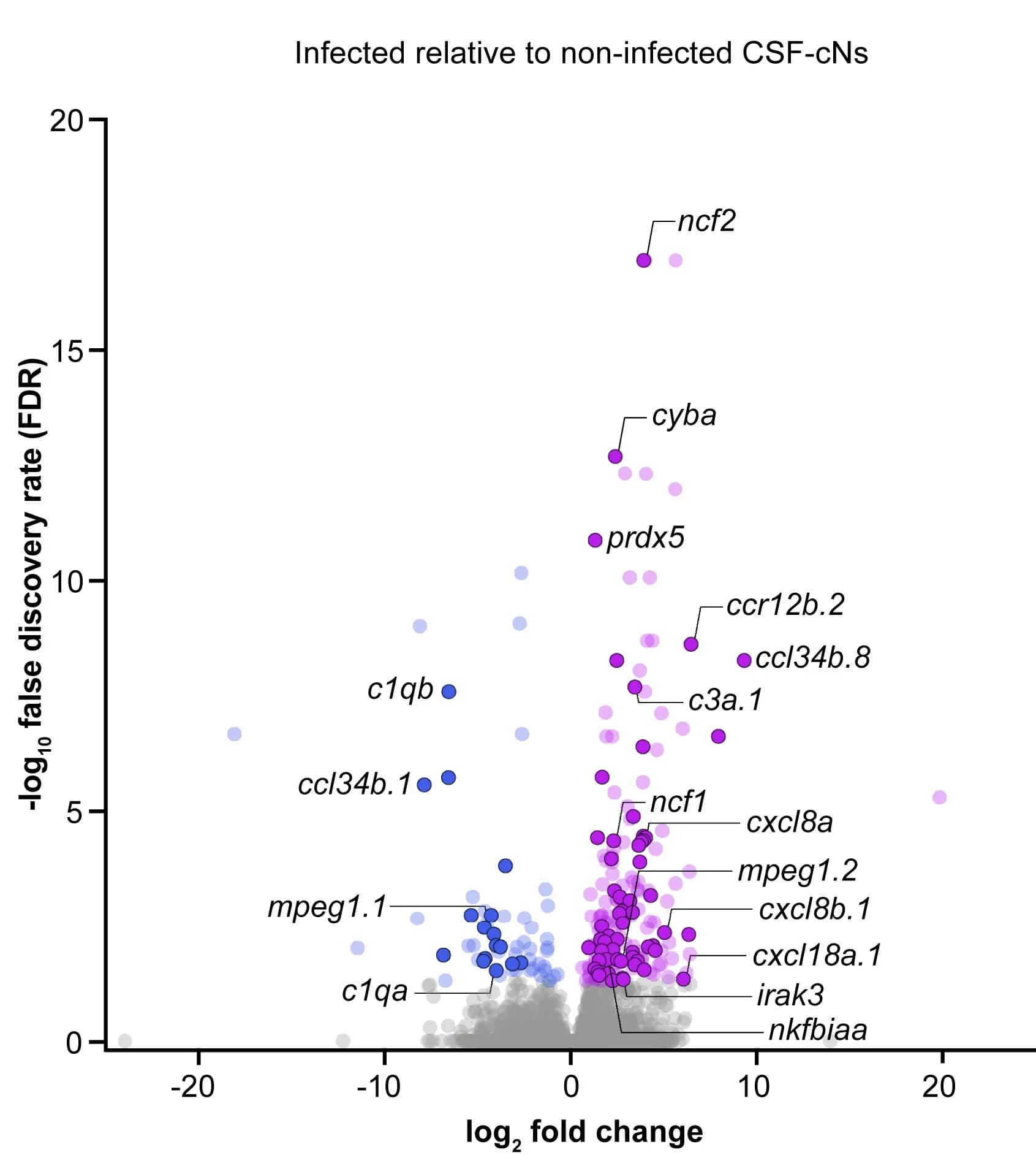 Open access visualization of Volcano Plot, Scatter Plot, Transcripts, Infected CSF-cNs, Uninfected CSF-cNs