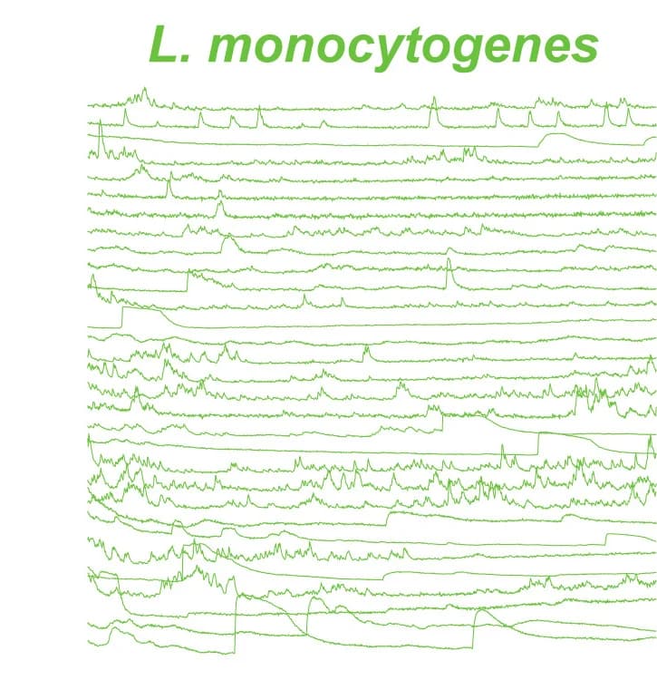Open access visualization of Line Plot, Calcium Transients, Larvae, L. monocytogenes, S. pneumoniae