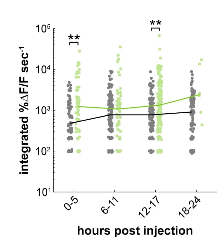 Open access visualization of Scatter Plot, Line Plot, Integrated Signal, Transients, L. monocytogenes