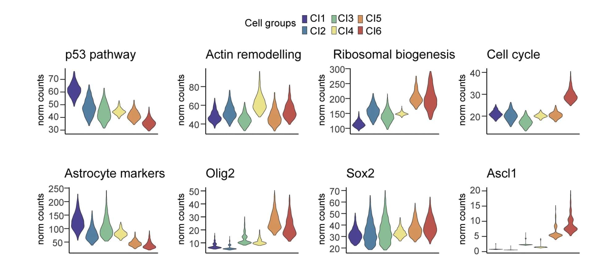 Open access visualization of Violin Plot, Violin Plots, Pathway Analysis, Gene Expression, Cell Clusters