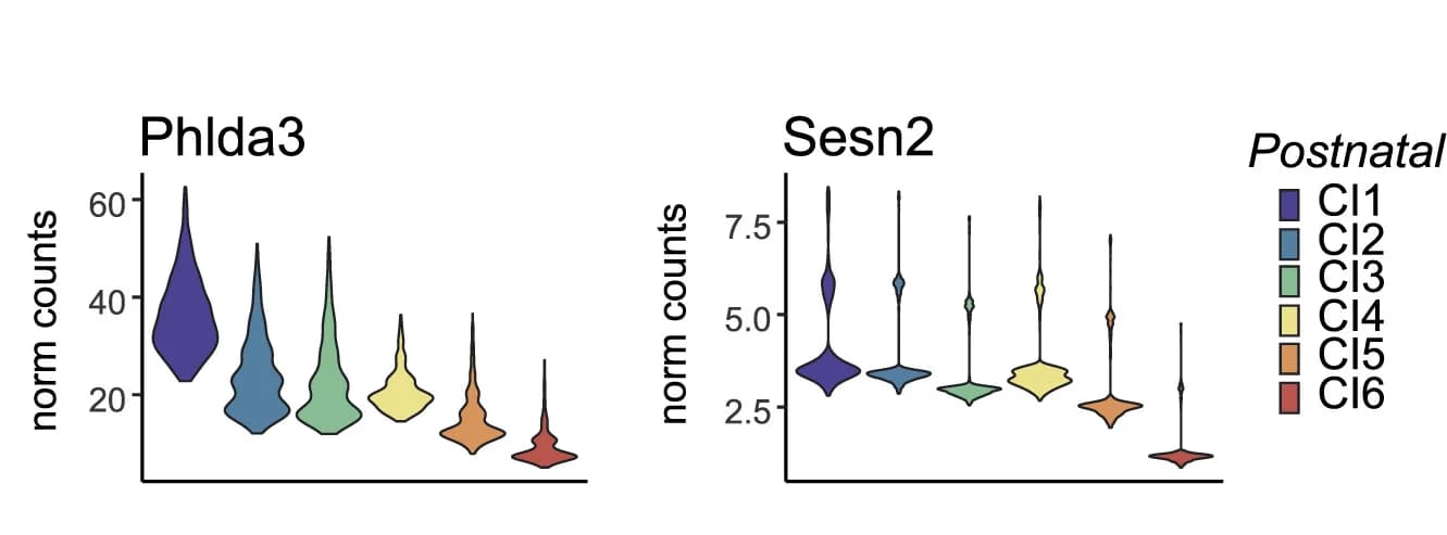 Open access visualization of Violin Plot, Violin Plots, Genes, RNA-seq Data, Phlda3