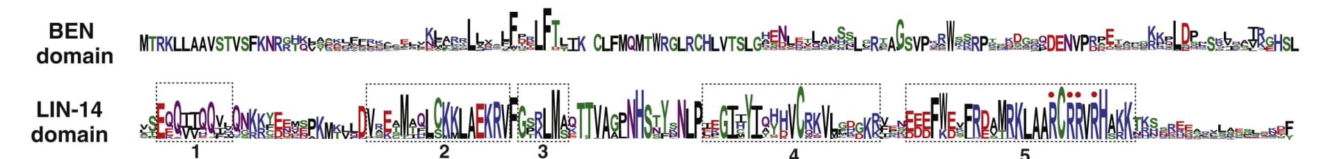 Open access visualization of Illustration, LIN-14 DNA-binding Domain, BEN Domain, Motif Logo, Alpha-helices