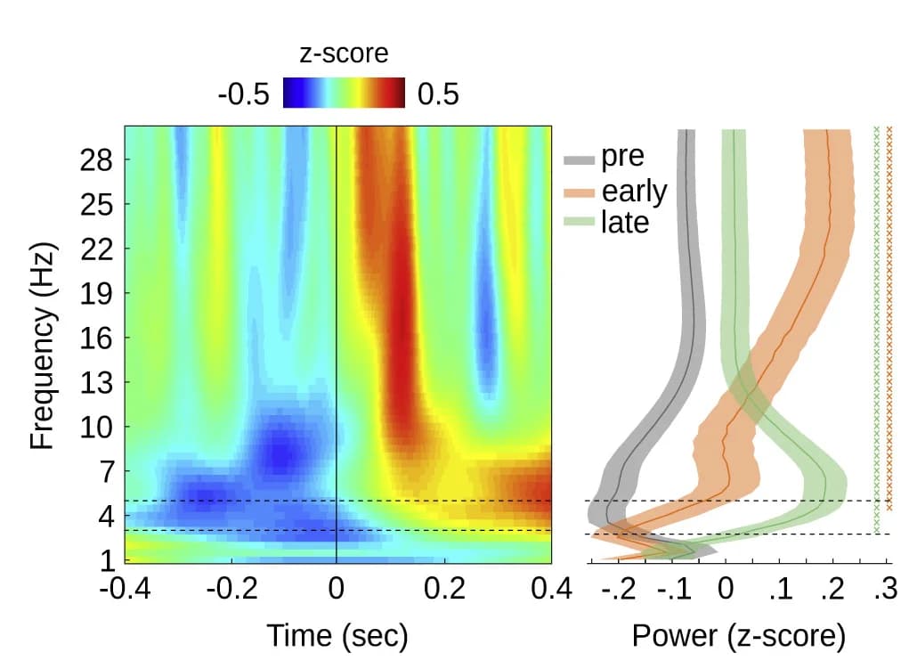 Open access visualization of Heatmap, Line Plot, Error Bars, Color Maps, Fixation-Locked Power