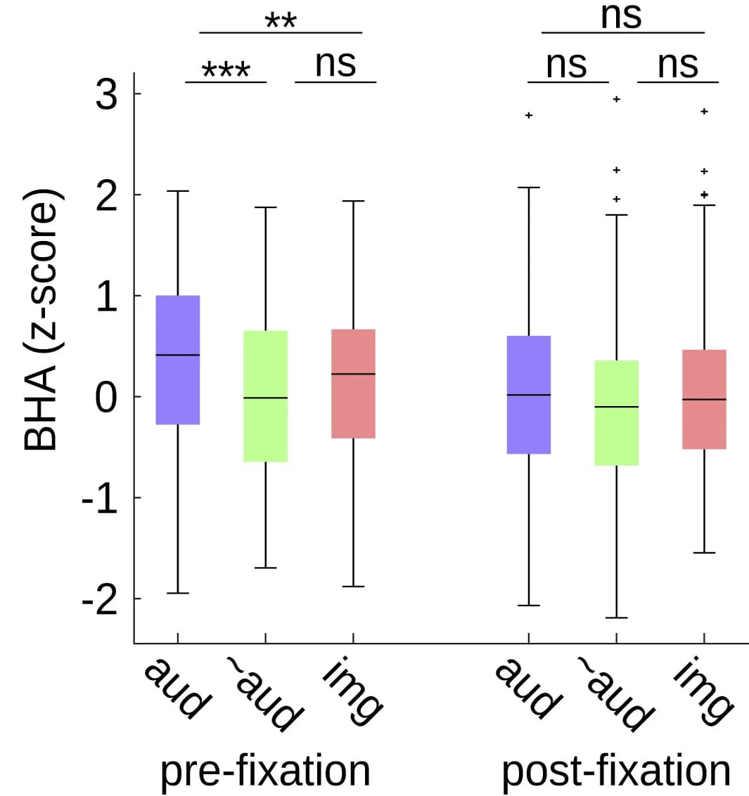 Open access visualization of Box Plot, Fixation-locked BHA, Pre-fixation time windows, Post-fixation time windows, Box plots
