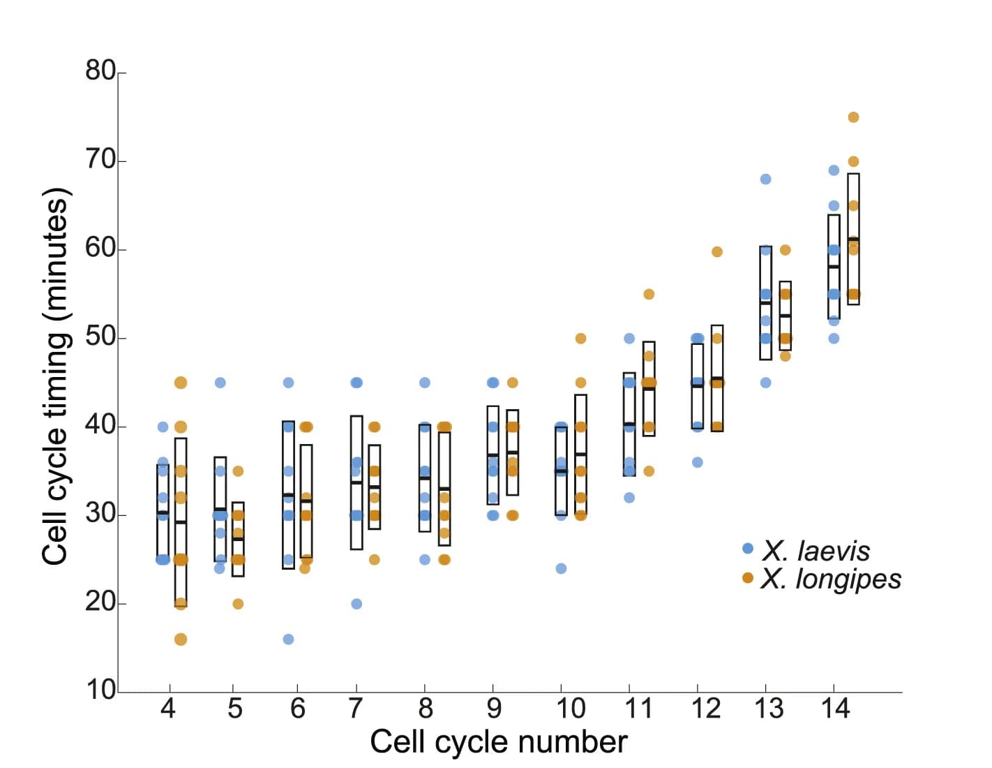 Open access visualization of Box Plot, Scatter Plot, Cell Cycle, Animal Pole Cells, Xenopus longipes