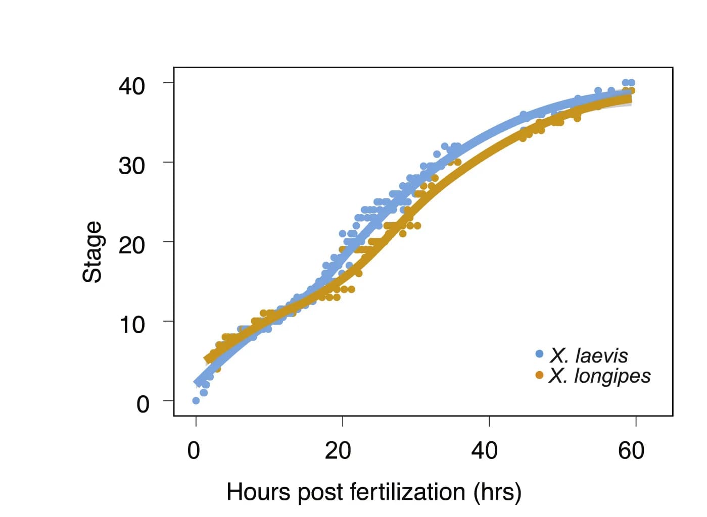 Open access visualization of Scatter Plot, Regression Plot, Developmental Time, Xenopus longipes, Xenopus laevis