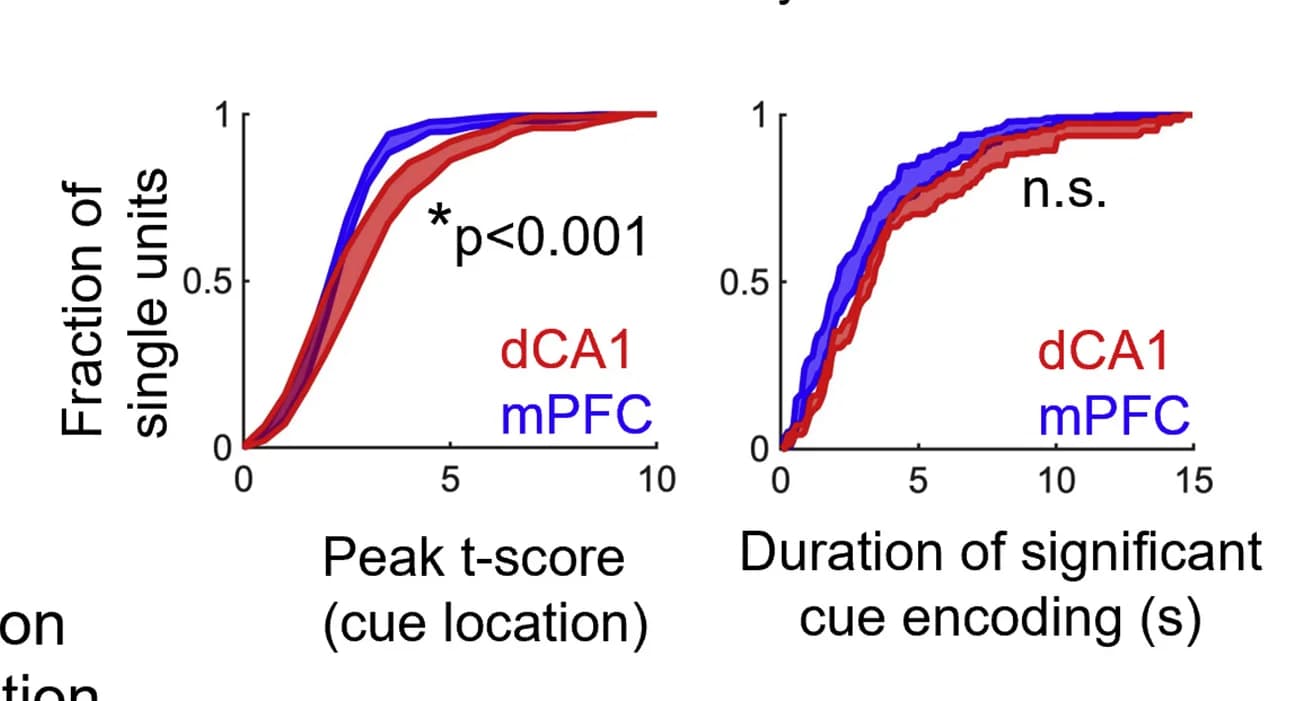 Open access visualization of Line Plot, Error Bars, Encoding, Peak Strength, Duration