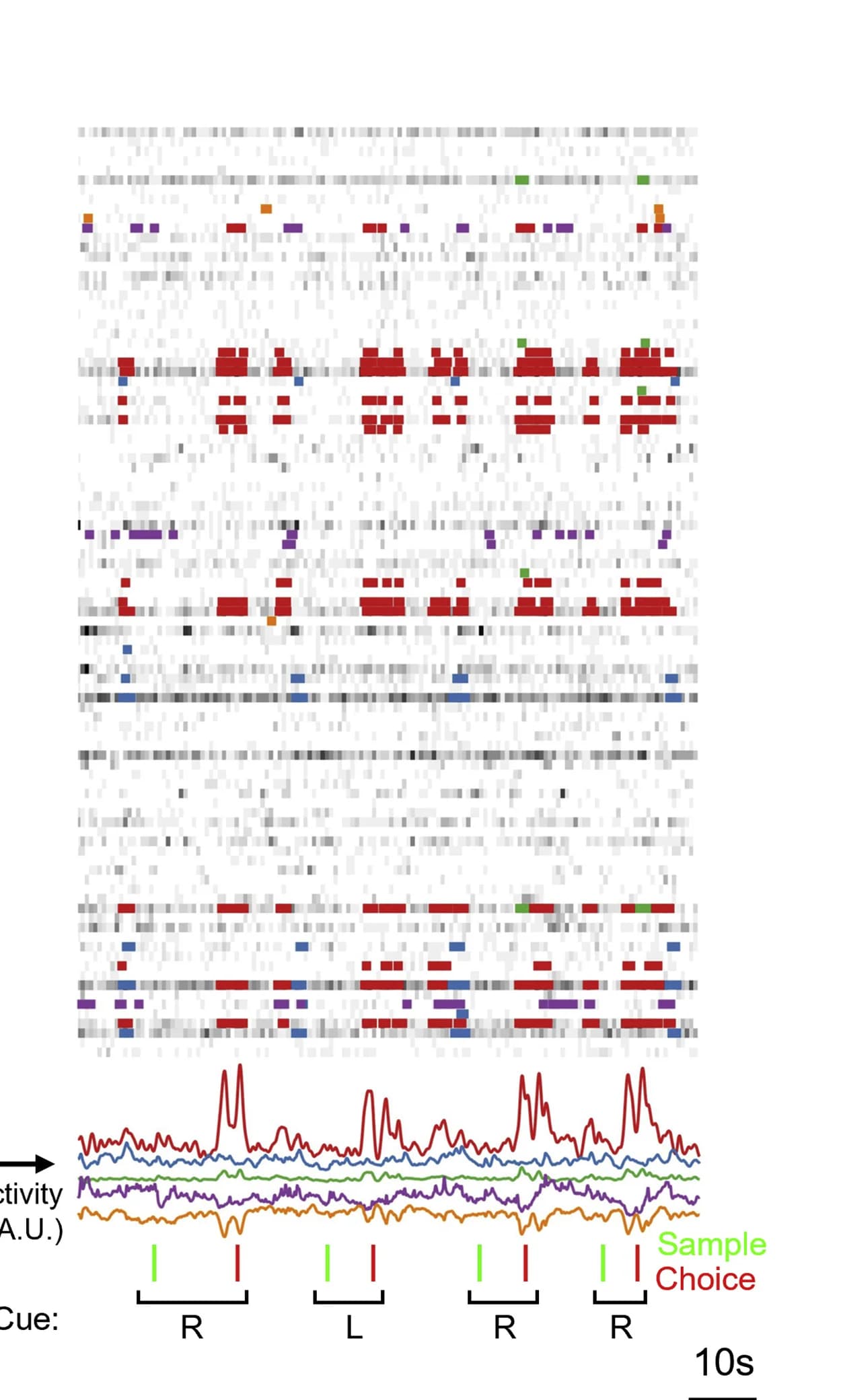 Open access visualization of Line Plot, Heatmap, Spike rasters, DNMTS task, Spike trains
