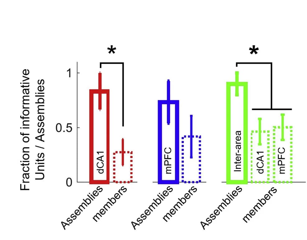 Open access visualization of Bar Plot, Error Bars, Cue Location Decoding, Cell Assemblies, Single Unit Members