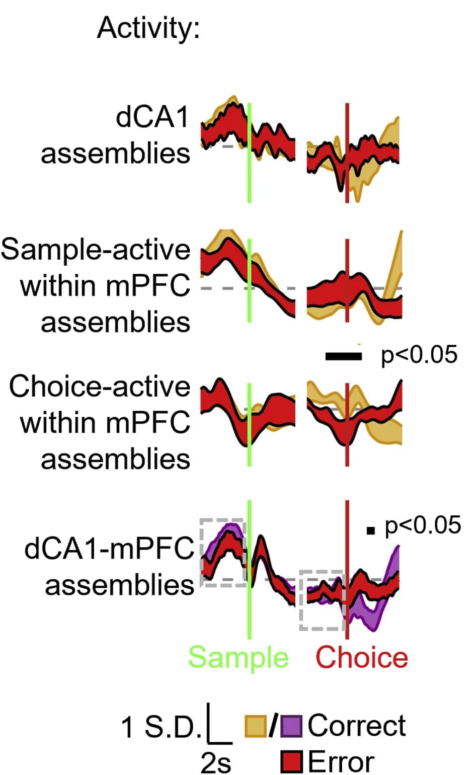 Open access visualization of Line Plot, Error Bars, Cell Assemblies, Correct Trials, Error Trials