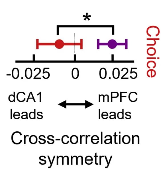 Open access visualization of Scatter Plot, Error Bars, dCA1-mPFC Correlation, Spike Times, Error Trials