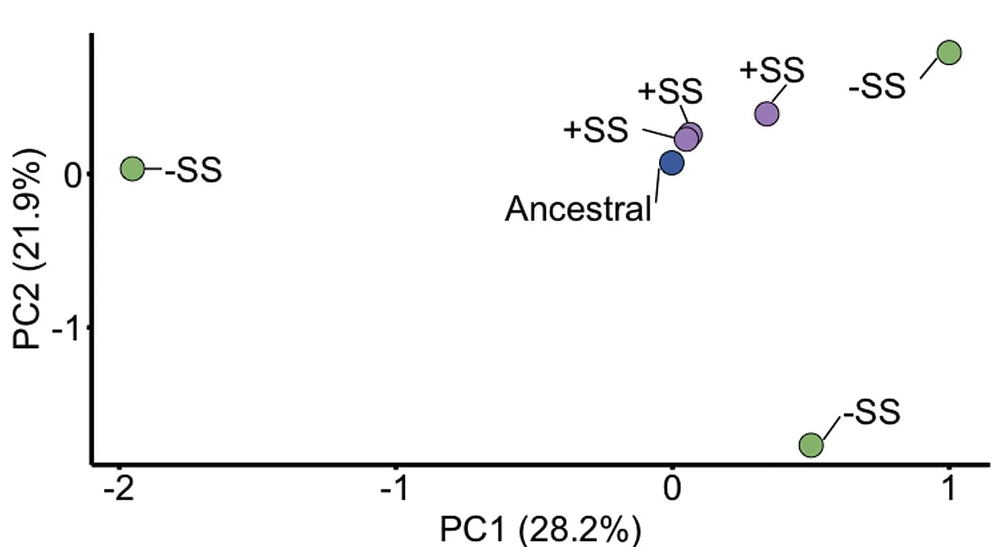 Open access visualization of Scatter Plot, PCA, Principal Component Analysis, Allele Frequencies, Sexual Selection