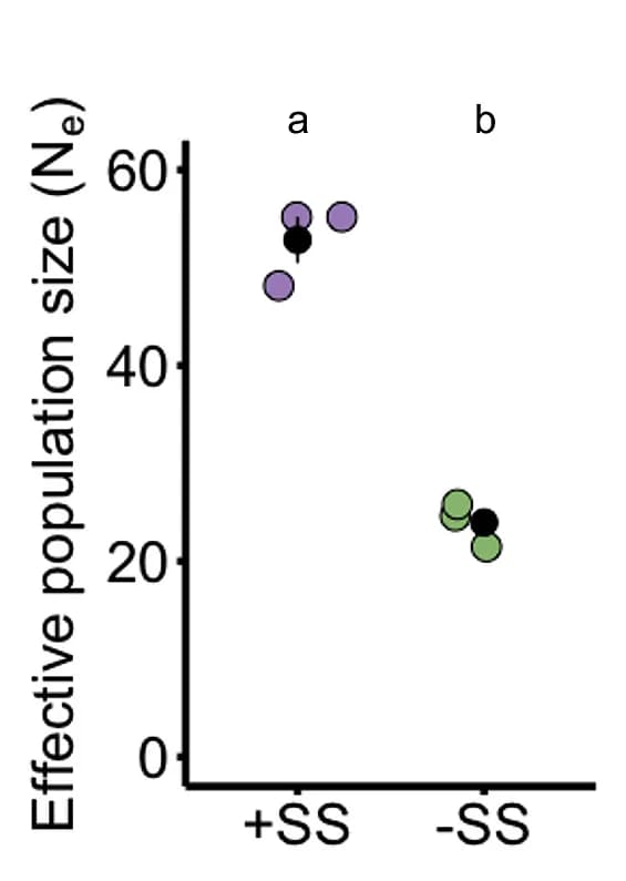 Open access visualization of Scatter Plot, Error Bars, Sexual Selection, Effective Population Size, Populations