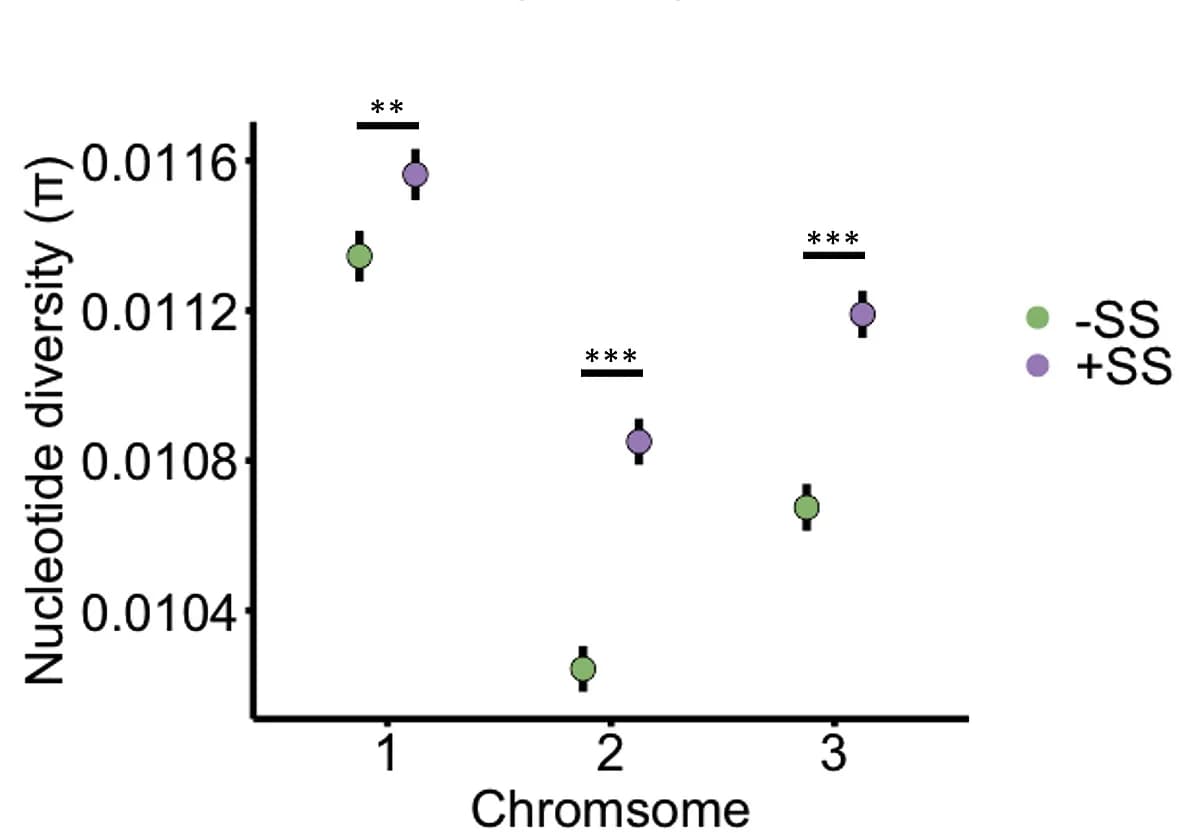 Open access visualization of Scatter Plot, Error Bars, Nucleotide Diversity, Populations, Chromosomes