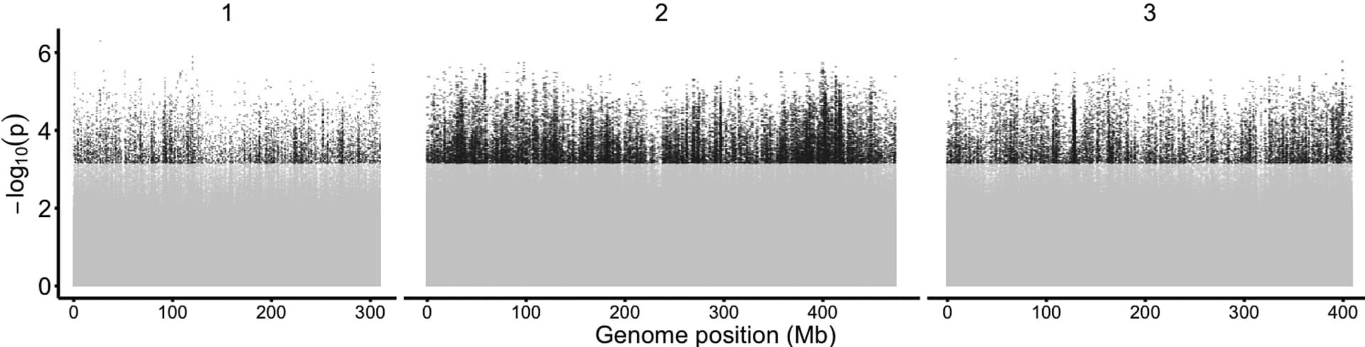 Open access visualization of Manhattan Plot, Scatter Plot, SNPs, GLMM, Allele Frequency