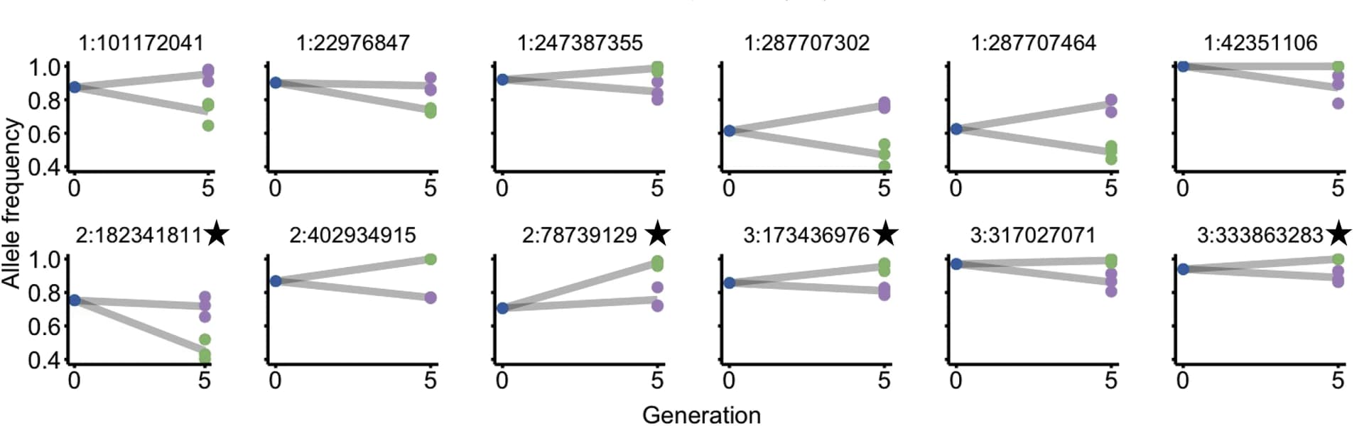 Open access visualization of Scatter Plot, Line Plot, Allele Frequency, SNPs, RNAi