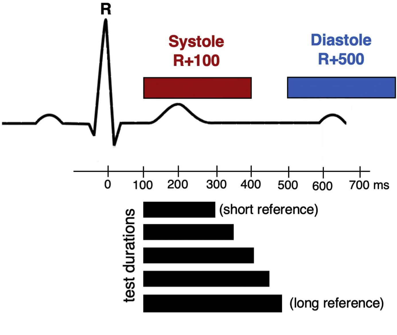 Open access visualization of Line Plot, Bar Plot, Task design, Cardiac phases, Stimulus duration