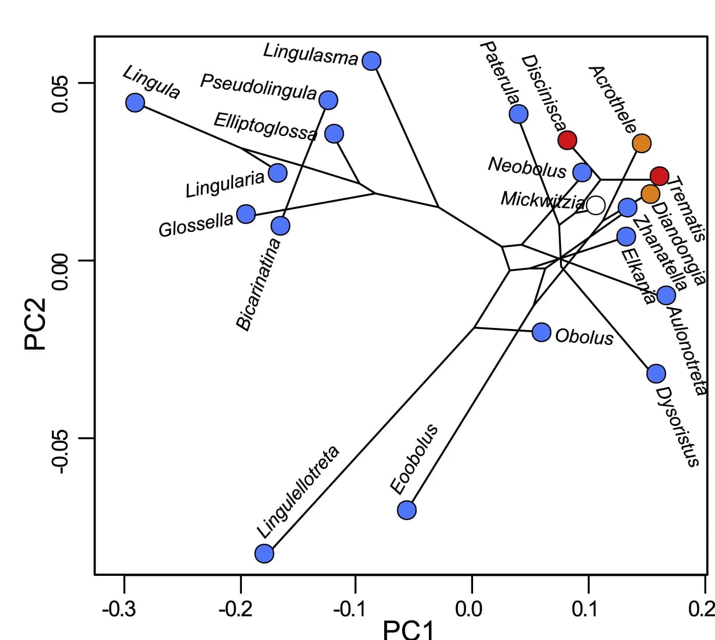 Open access visualization of Scatter Plot, PCA, Network, Phylomorphospace, Shell Shape