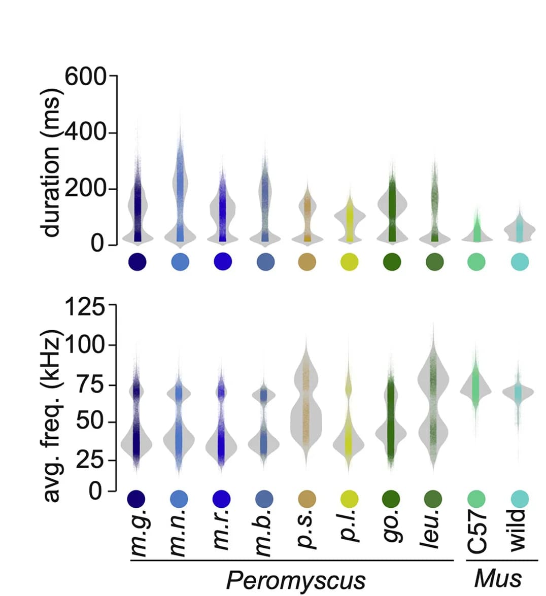 Open access visualization of Violin Plot, Top-Loading Features, Principal Component Analysis, Duration, Average Frequency