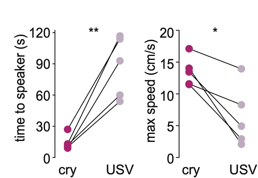 Open access visualization of Scatter Plot, Line Plot, Time to Speaker, Mother, Cries