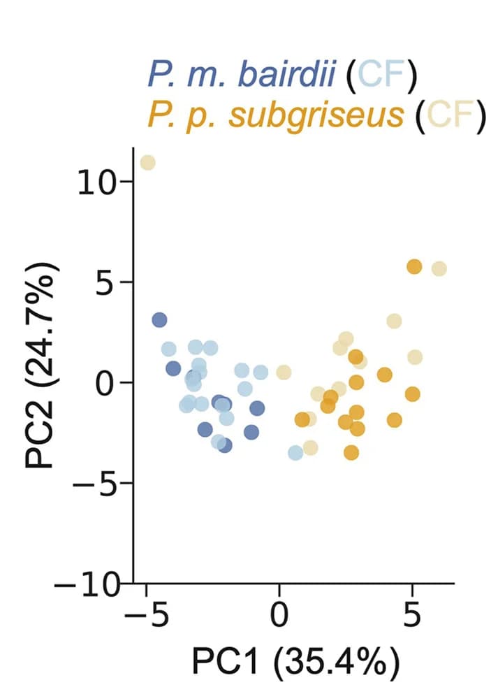 Open access visualization of Scatter Plot, PCA, Principal Component Analysis, Acoustic Features, Cry