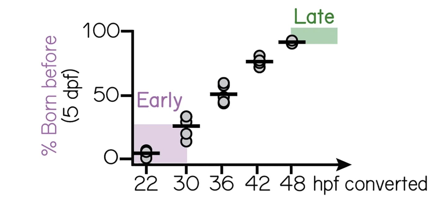 Open access visualization of Scatter Plot, Error Bars, Projection Neurons, Time Point, Fish
