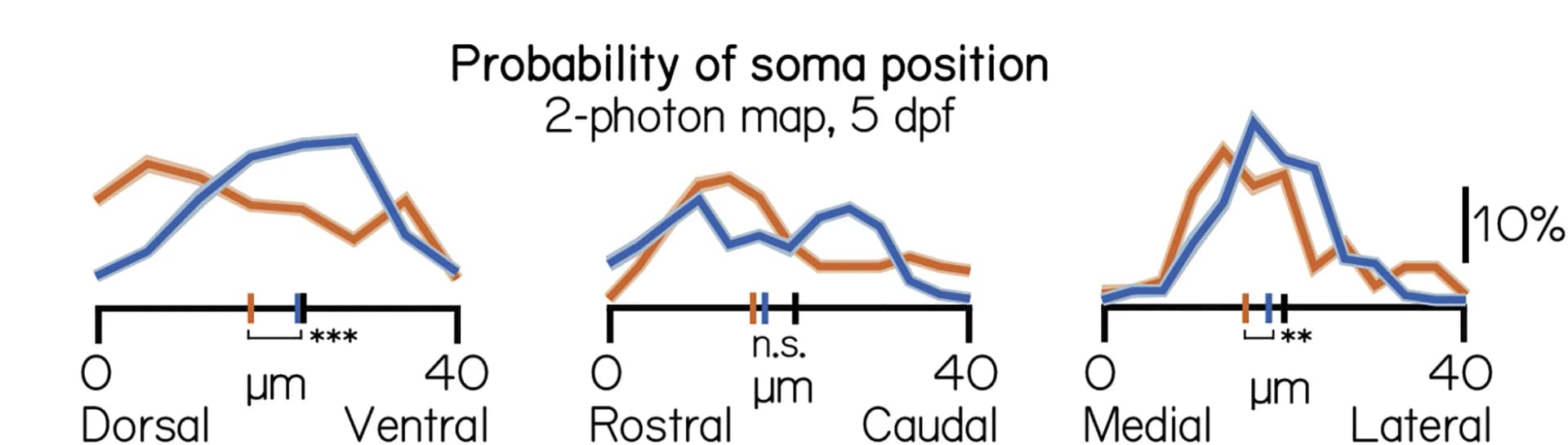 Open access visualization of Line Plot, Error Bars, Soma Position, Nose-Up Projection Neurons, Nose-Down Projection Neurons
