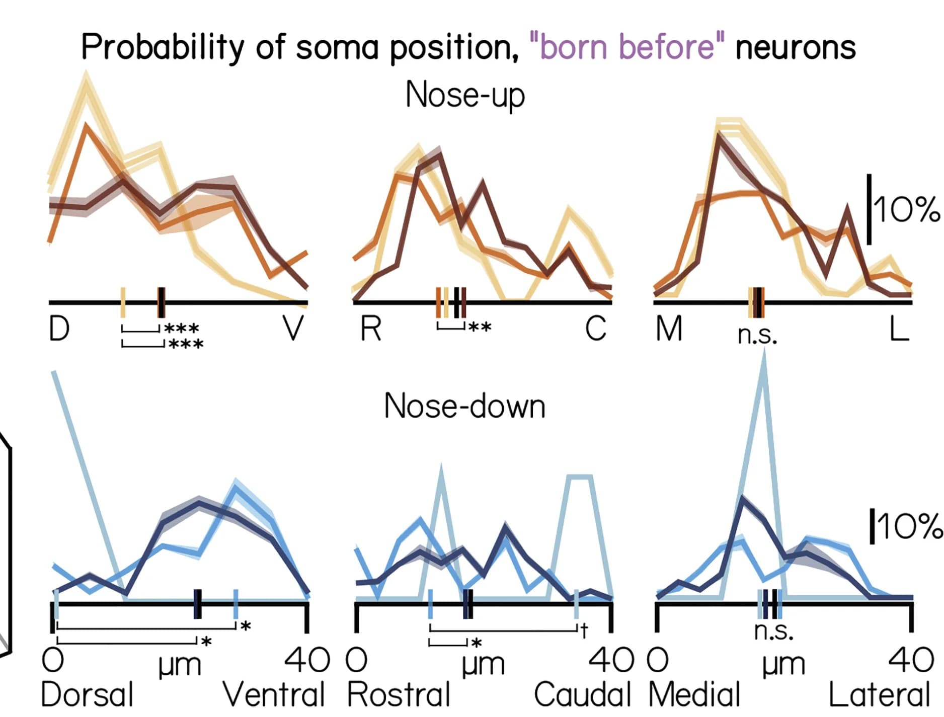 Open access visualization of Line Plot, Error Bars, Density Plot, Neuron Soma, Birthdated Neurons