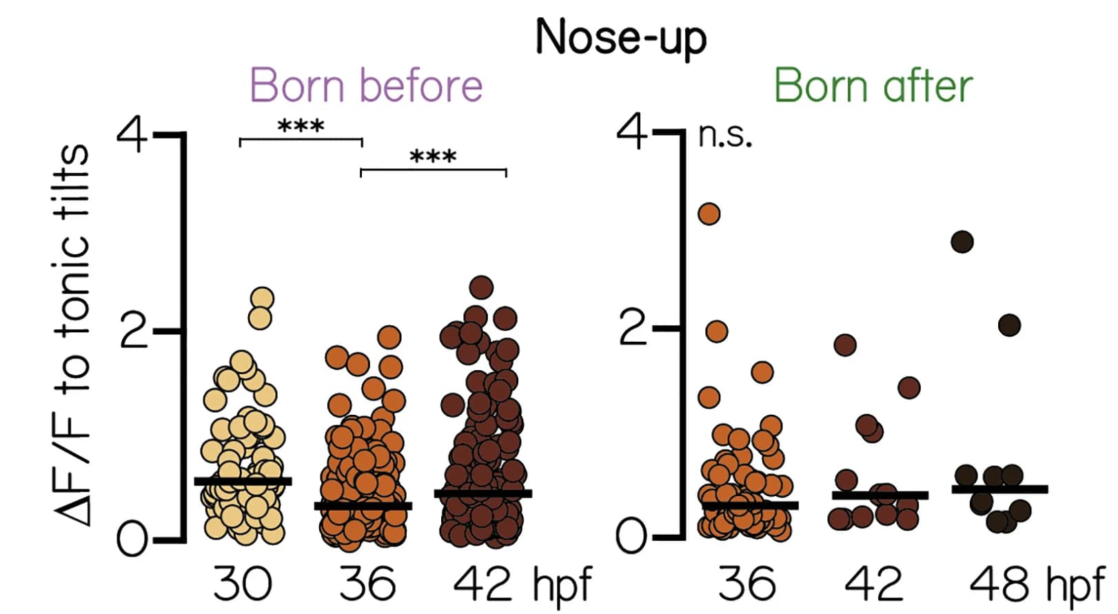 Open access visualization of Scatter Plot, Calcium Fluorescence, Tonic Tilts, Nose-Up Neurons, Neuron Age