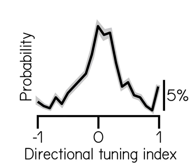 Open access visualization of Line Plot, Error Bars, Directional Selectivity, Impulses, Probability Distribution